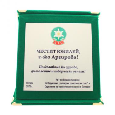 Плакет QNGr - светлозелено - 2